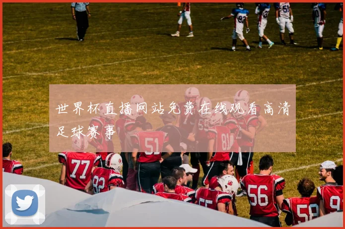 世界杯直播网站免费在线观看高清足球赛事