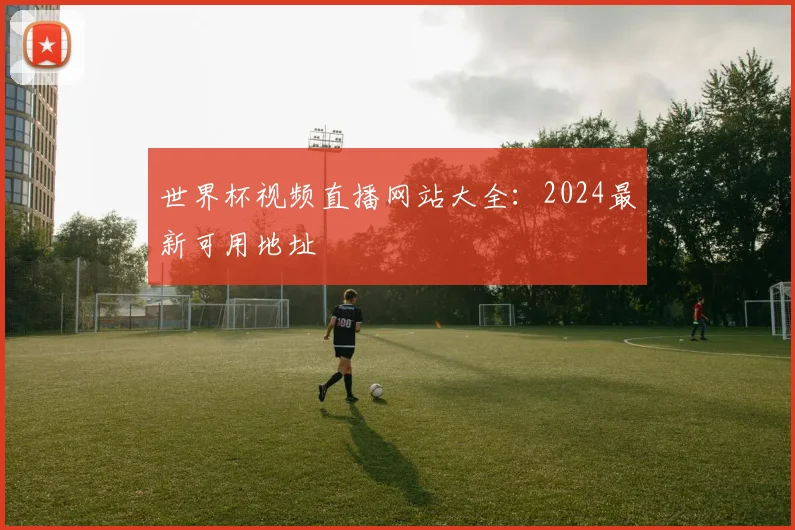 世界杯视频直播网站大全：2024最新可用地址