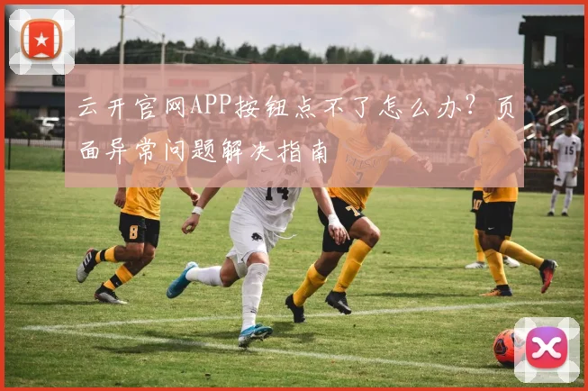 云开官网APP按钮点不了怎么办？页面异常问题解决指南