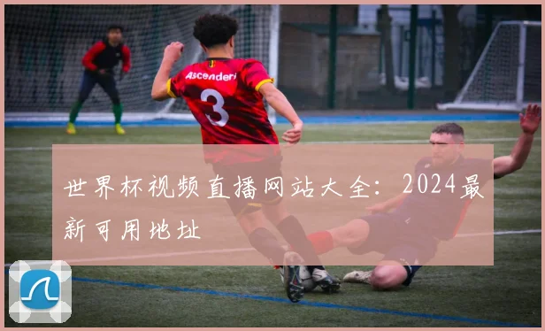 世界杯视频直播网站大全：2024最新可用地址